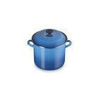 Stockpot with Phenolic Knob